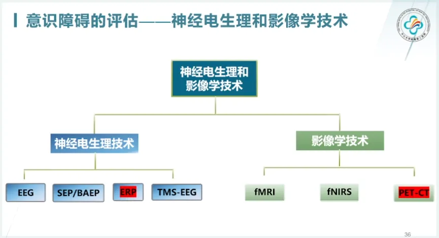 微信图片_20240814133957