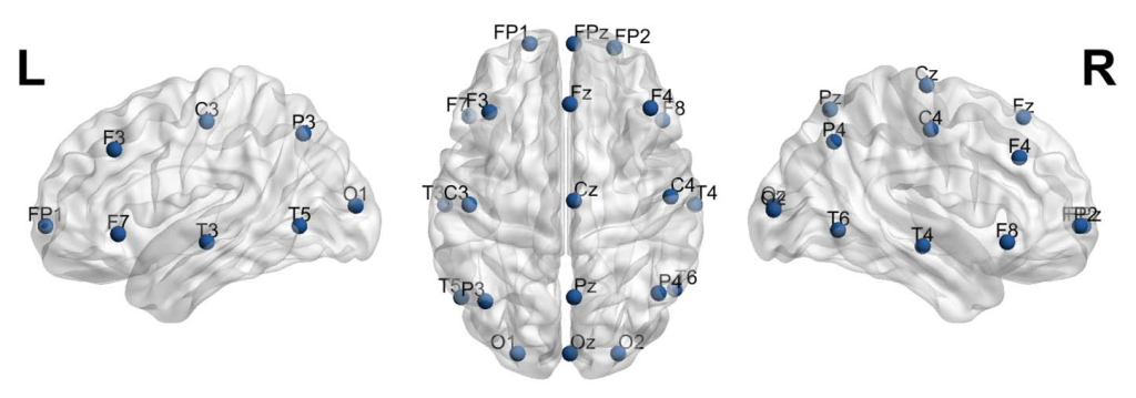 TMS stimulation targets and indications based on the international
10-20 system[1]