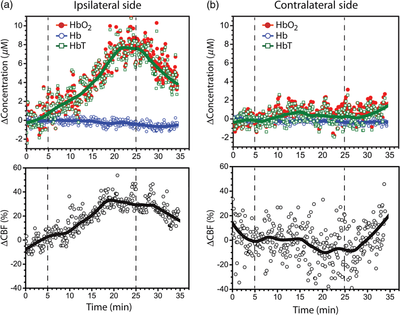 Affect the secretion of neurotransmitters in brain tissue