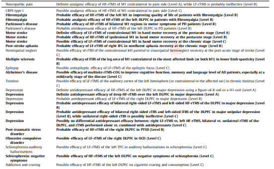 Evidence-based guidelines on the therapeutic use of rTMS