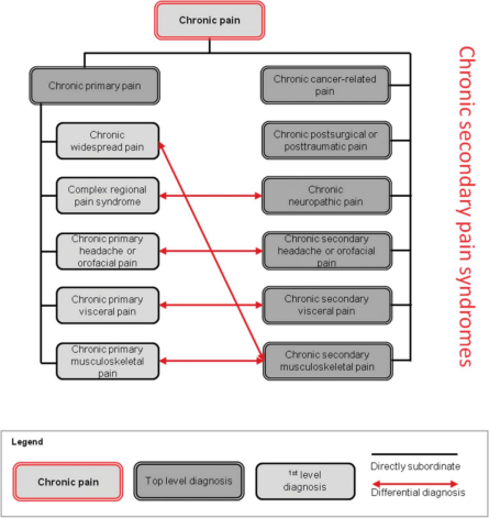 chronic secondary pain